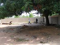 Partenariat NON NOBIS - Aide à la construction d'un collège en Guinée 