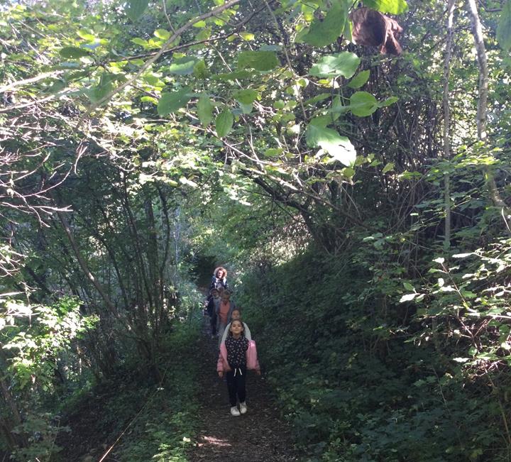 Sortie forêt pour les CP du Buisson et de Notre Dame