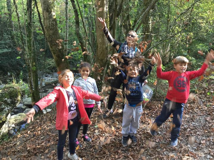 Une sortie en forêt pour les CP...