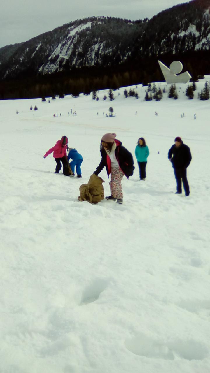 Les CE1 au Plateau des Glières