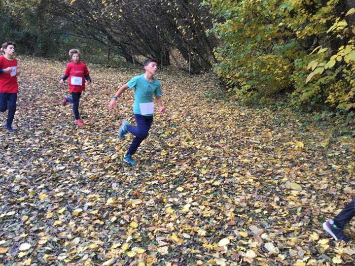 Cross départemental