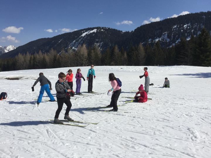 Cycle ski de fond