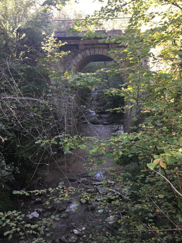 Sortie forêt pour les CP du Buisson et de Notre Dame
