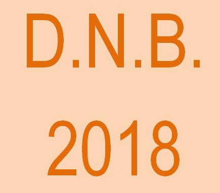 DNB 2018